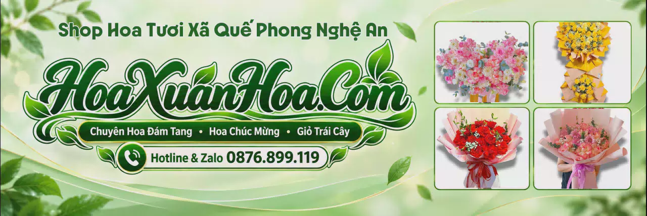 Ảnh bìa Shop Hoa Tươi Tại Xã Quế Phong Nghệ An - Shop Hoa Tươi Đặt Trực Tuyến