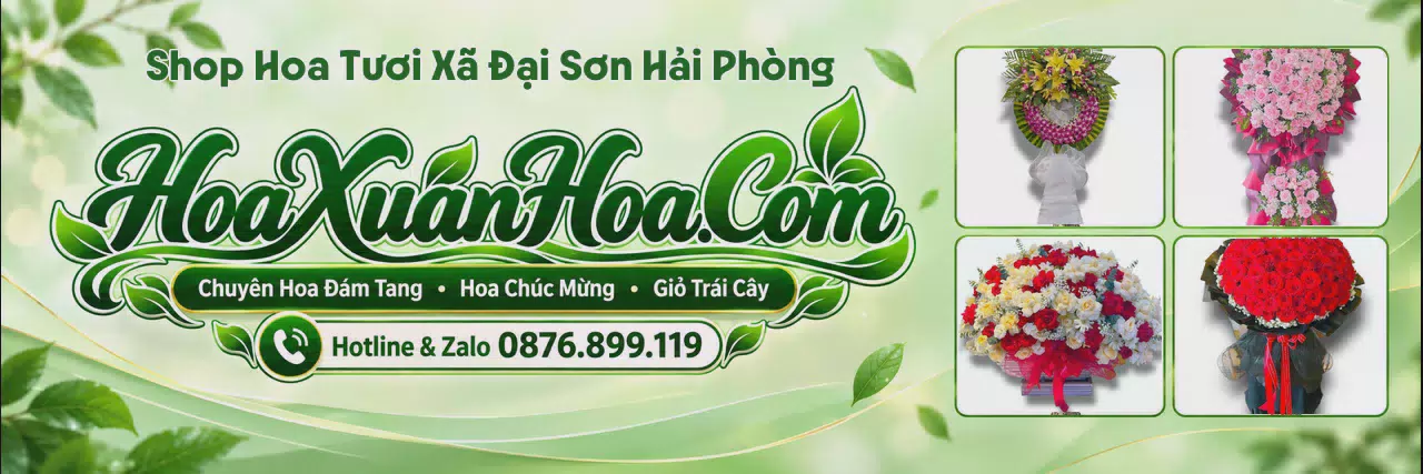 Ảnh bìa Shop Hoa Tươi Tại Xã Đại Sơn Hải Phòng - Đặt Hoa Online Giao Nhanh