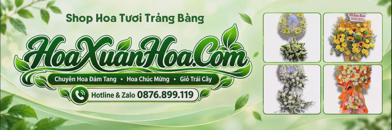 Ảnh bìa Cửa Hàng Bán Hoa Tươi Tại Trảng Bàng - Đặt Hoa Dễ Dàng Nhanh Chóng