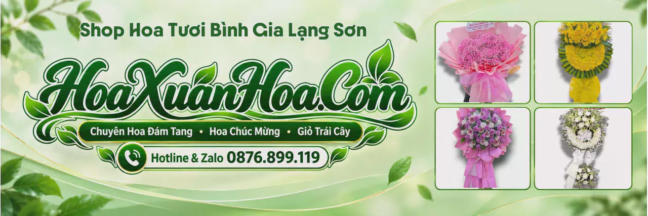 Ảnh bìa Shop Hoa Tươi Tại Bình Gia Lạng Sơn - Đặt Hoa Online Giao Tận Nhà