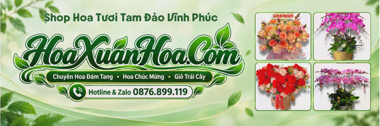 Ảnh bìa Shop Hoa Tươi Tại Tam Đảo Vĩnh Phúc - Đặt Hoa Tươi Trực Tuyến