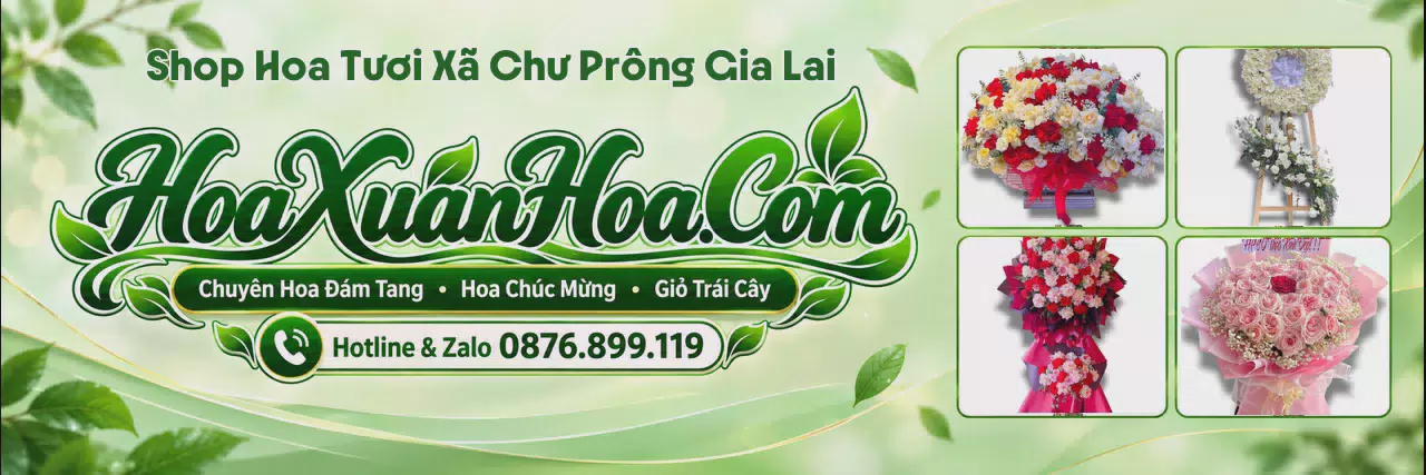 Ảnh bìa Đặt Hoa Tươi Tại Xã Chư Prông Gia Lai - Tiệm Hoa Tươi Gần Đây