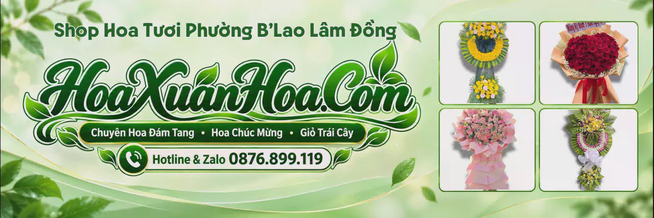 Ảnh bìa Shop Hoa Tươi Tại Phường B’Lao Lâm Đồng - Shop Hoa Giao Tận Nhà