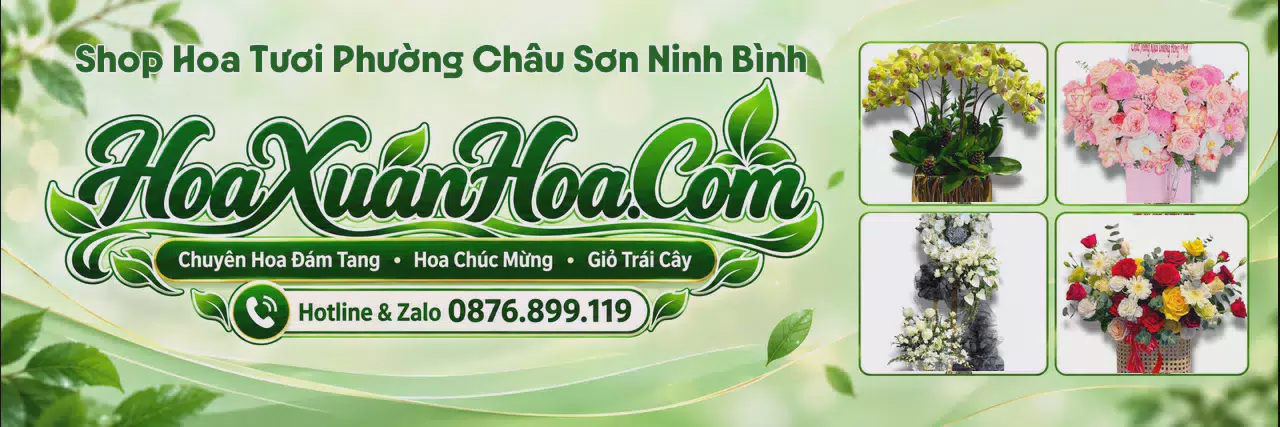 Ảnh bìa Tiệm Hoa Tươi Tại Phường Châu Sơn Ninh Bình - Dịch Vụ Hoa Tươi Giao Nhanh