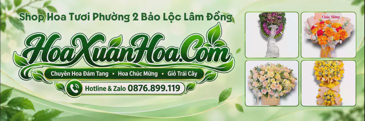 Ảnh bìa Tiệm Hoa Tươi Tại Phường 2 Bảo Lộc Lâm Đồng - Dịch Vụ Hoa Tươi Tận Nơi