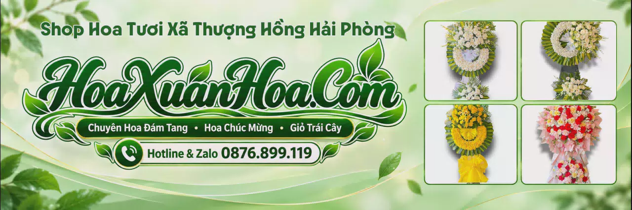 Ảnh bìa Shop Hoa Tươi Tại Xã Thượng Hồng Hải Phòng - Đặt Hoa Online Giao Tận Nhà