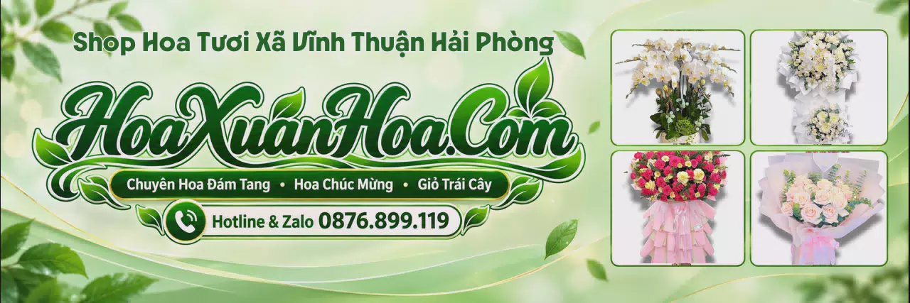 Ảnh bìa Đặt Hoa Tươi Tại Xã Vĩnh Thuận Hải Phòng - Dịch Vụ Hoa Tươi Tận Nơi