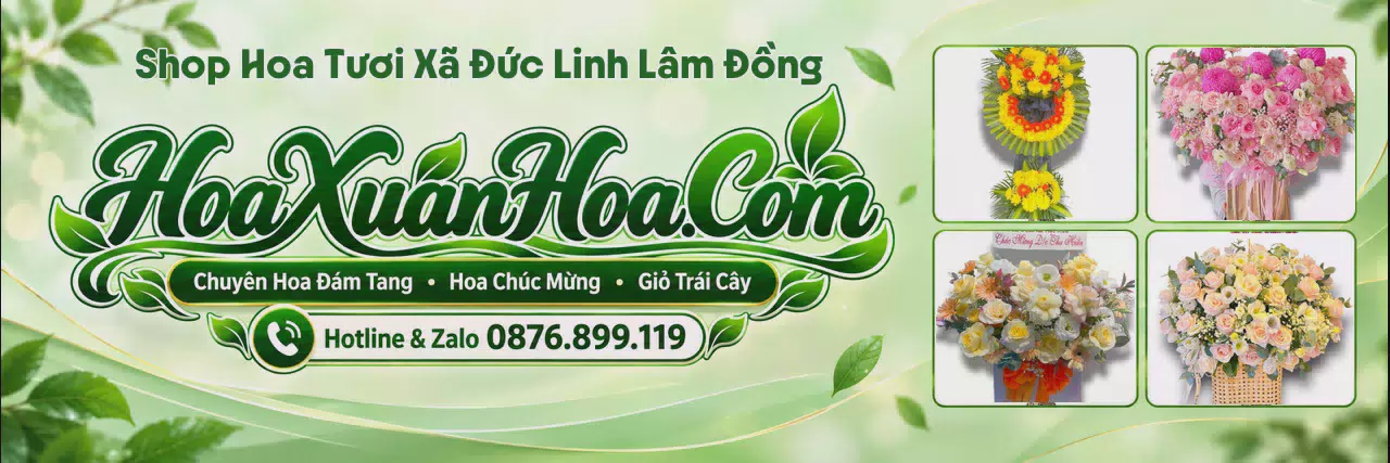 Ảnh bìa Shop Hoa Tươi Tại Xã Đức Linh Lâm Đồng - Tiệm Hoa Tươi Giao Tận Nhà