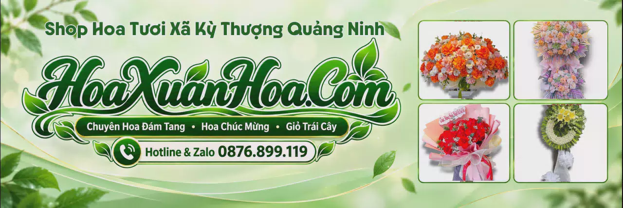 Ảnh bìa Shop Bán Hoa Tươi Tại Xã Kỳ Thượng Quảng Ninh - Dịch Vụ Đặt Hoa Trực Tuyến