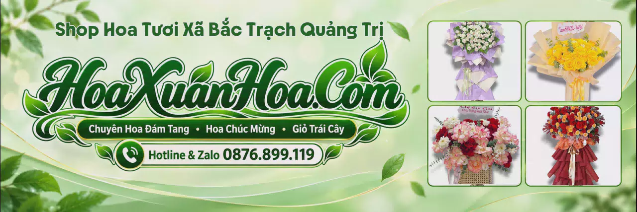 Ảnh bìa Đặt Hoa Tươi Tại Xã Bắc Trạch Quảng Trị - Đặt Hoa Tươi Giao Tận Nơi