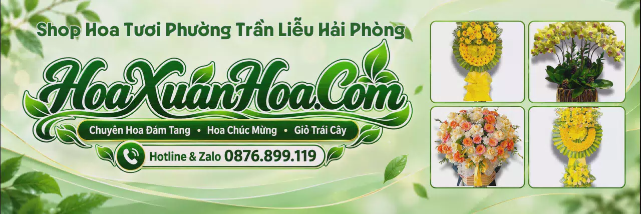 Ảnh bìa Shop Hoa Tươi Tại Phường Trần Liễu Hải Phòng - Shop Hoa Online Uy Tín