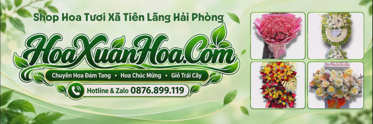 Ảnh bìa Tiệm Hoa Tươi Tại Xã Tiên Lãng Hải Phòng - Giao Hoa Tận Nơi