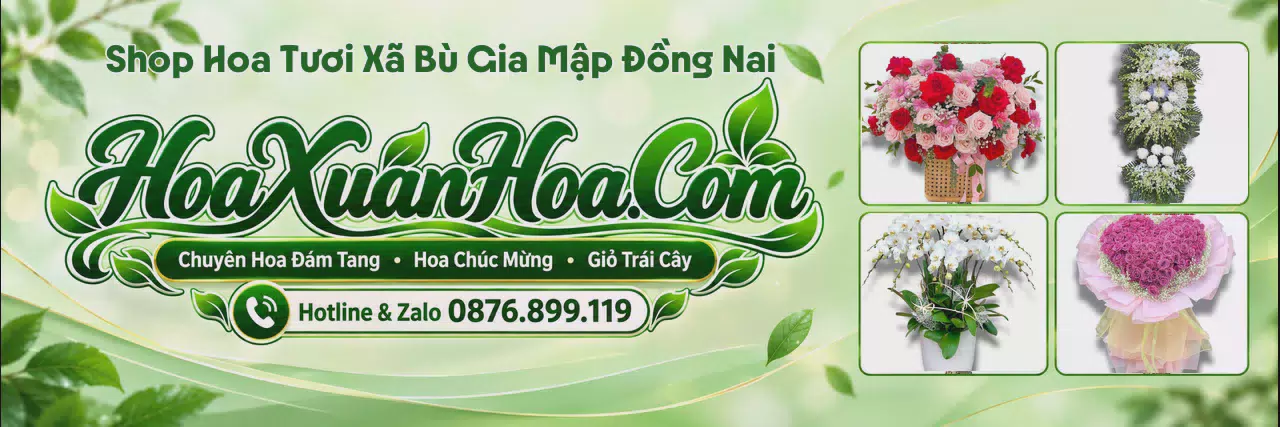 Ảnh bìa Shop Hoa Tươi Tại Xã Bù Gia Mập Đồng Nai - Đặt Hoa Tươi Trực Tuyến