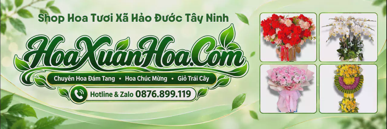 Ảnh bìa Shop Hoa Tươi Tại Xã Hảo Đước Tây Ninh - Đặt Hoa Online Tiện Lợi