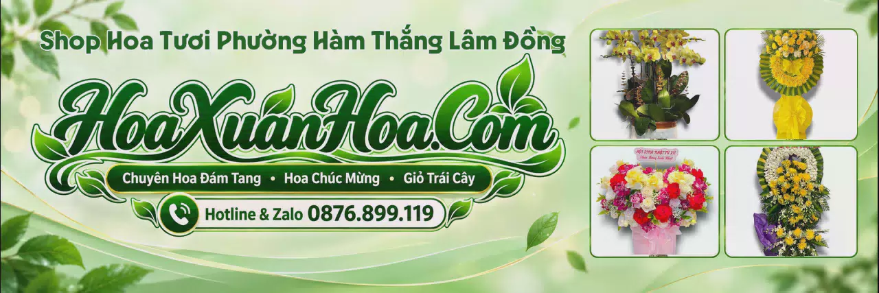 Ảnh bìa Tiệm Hoa Tươi Tại Phường Hàm Thắng Lâm Đồng - Tiệm Hoa Giao Nhanh