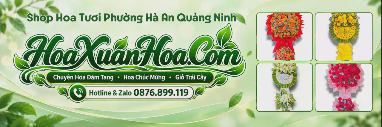 Ảnh bìa Đặt Hoa Tươi Tại Phường Hà An Quảng Ninh - Dịch Vụ Hoa Tươi Giao Nhanh