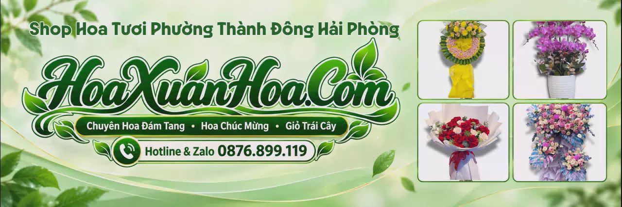 Ảnh bìa Cửa Hàng Bán Hoa Tươi Tại Phường Thành Đông Hải Phòng - Shop Hoa Tươi Giao Trong Ngày