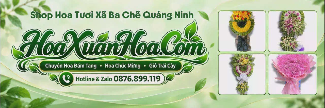 Ảnh bìa Shop Hoa Tươi Tại Xã Ba Chẽ Quảng Ninh - Đặt Hoa Online Giao Nhanh