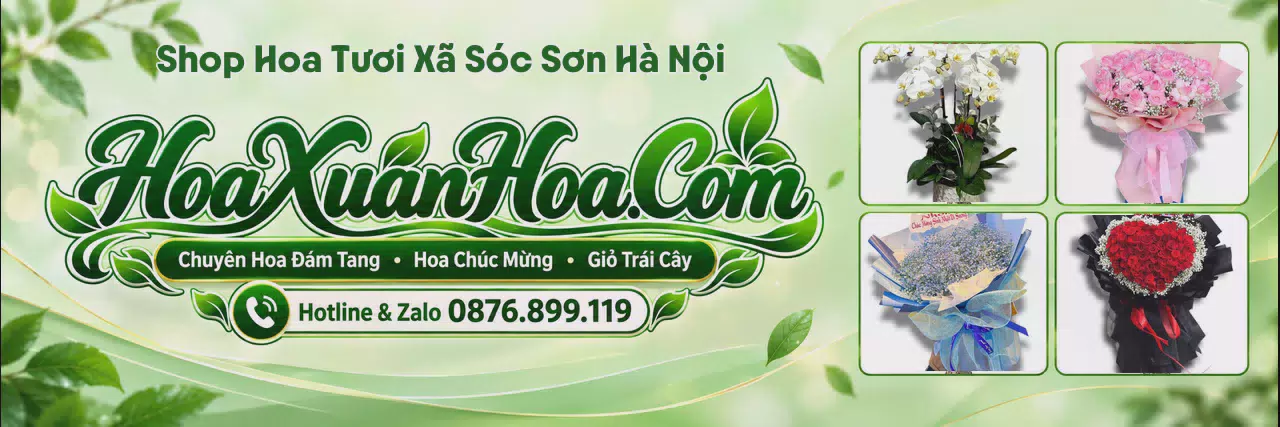 Ảnh bìa Shop Hoa Tươi Tại Xã Sóc Sơn Hà Nội - Đặt Hoa Nhanh Trong Ngày