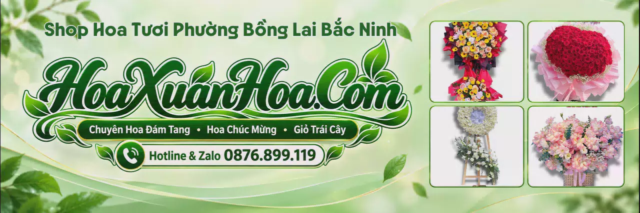 Ảnh bìa Đặt Hoa Tươi Tại Phường Bồng Lai Bắc Ninh - Đặt Hoa Tươi Giao Tận Nơi