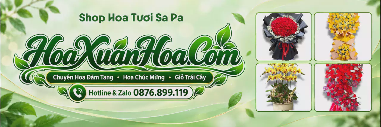 Ảnh bìa Shop Hoa Tươi Tại Sa Pa - Shop Hoa Giao Nhanh Trong Ngày