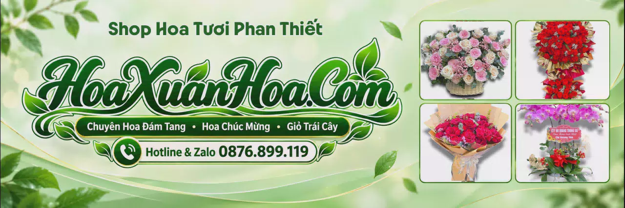 Ảnh bìa Shop Hoa Tươi Tại Phan Thiết - Dịch Vụ Giao Hoa Tận Nơi