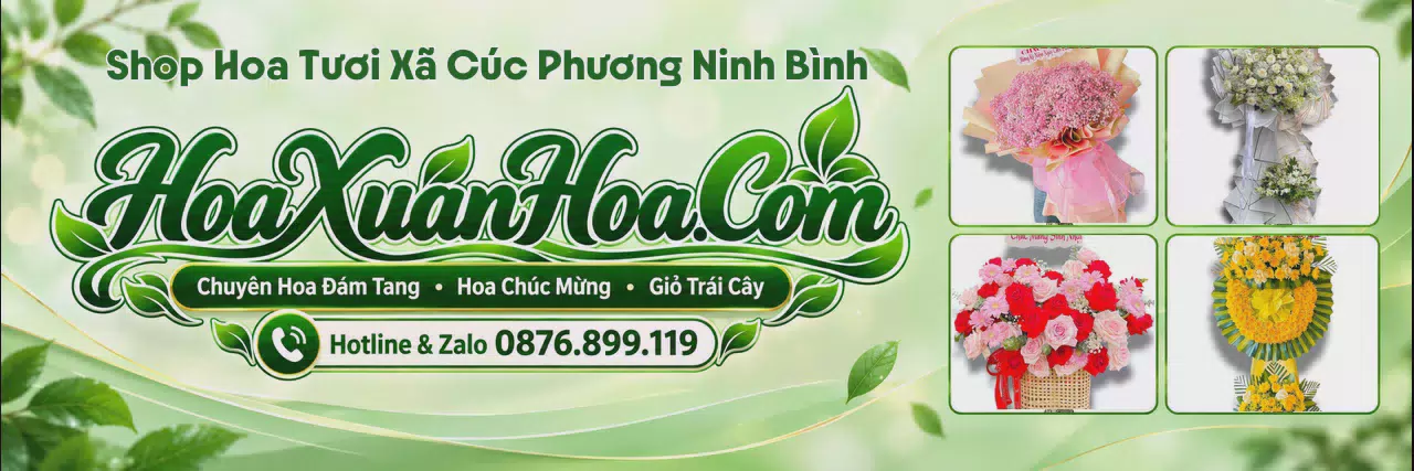 Ảnh bìa Shop Hoa Tươi Tại Xã Cúc Phương Ninh Bình - Shop Hoa Giao Nhanh Trong Ngày