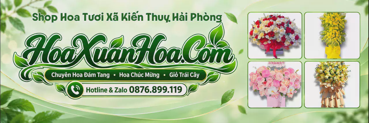 Ảnh bìa Cửa Hàng Bán Hoa Tươi Tại Xã Kiến Thuỵ Hải Phòng - Tiệm Hoa Giao Hoa Tận Nhà