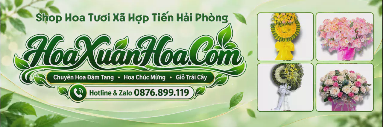Ảnh bìa Shop Hoa Tươi Tại Xã Hợp Tiến Hải Phòng - Đặt Hoa Online Tiện Lợi