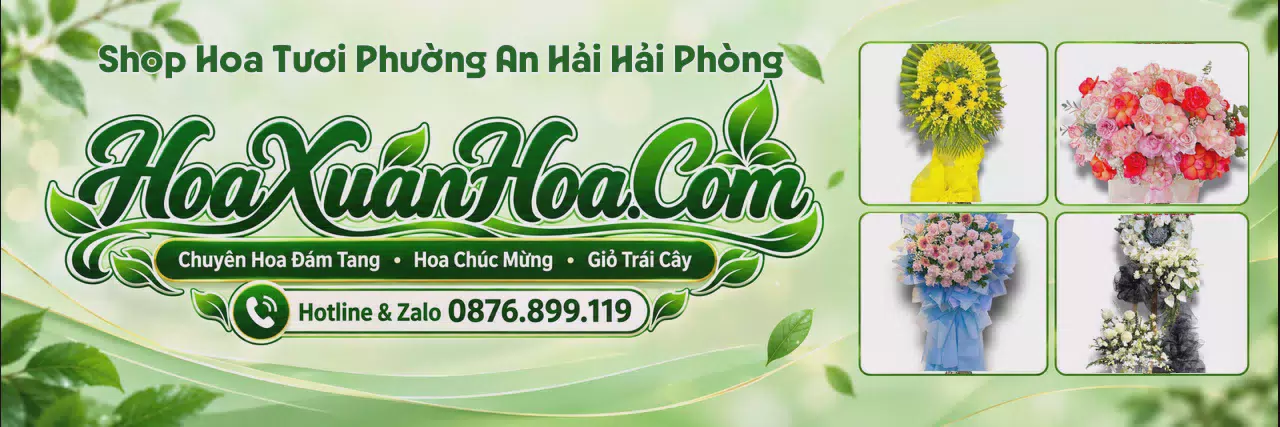 Ảnh bìa Đặt Hoa Tươi Tại Phường An Hải Hải Phòng - Giao Hoa Tận Nơi