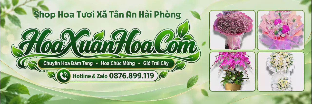 Ảnh bìa Tiệm Hoa Tươi Tại Xã Tân An Hải Phòng - Đặt Hoa Online Giao Nhanh