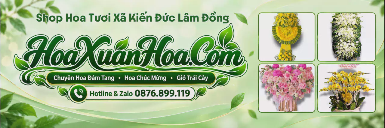 Ảnh bìa Shop Hoa Tươi Tại Xã Kiến Đức Lâm Đồng - Dịch Vụ Đặt Hoa Trực Tuyến