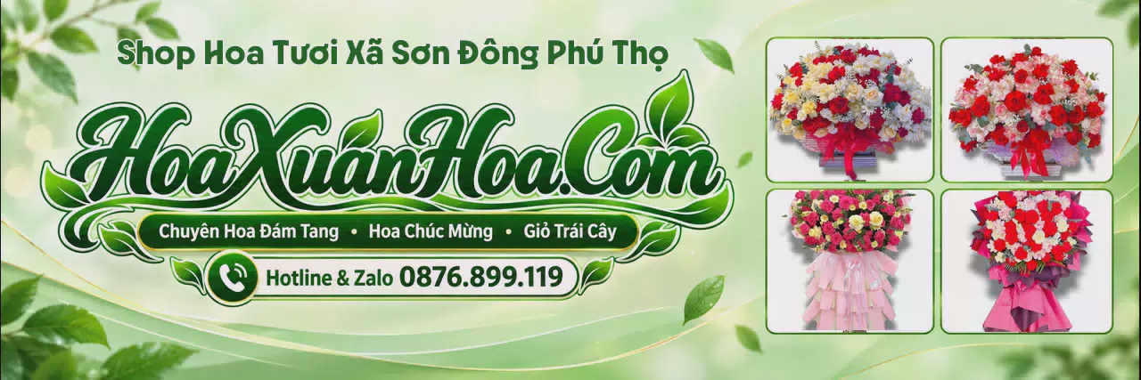 Ảnh bìa Tiệm Hoa Tươi Tại Xã Sơn Đông Phú Thọ - Giao Hoa Nhanh Trong 2 Giờ