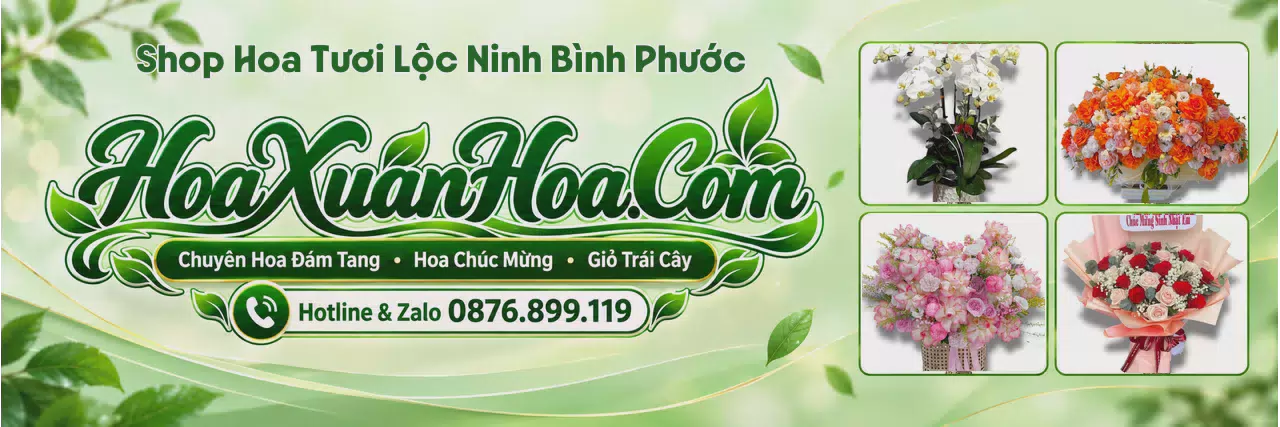Ảnh bìa Shop Hoa Tươi Tại Lộc Ninh Bình Phước - Đặt Hoa Online Giao Nhanh