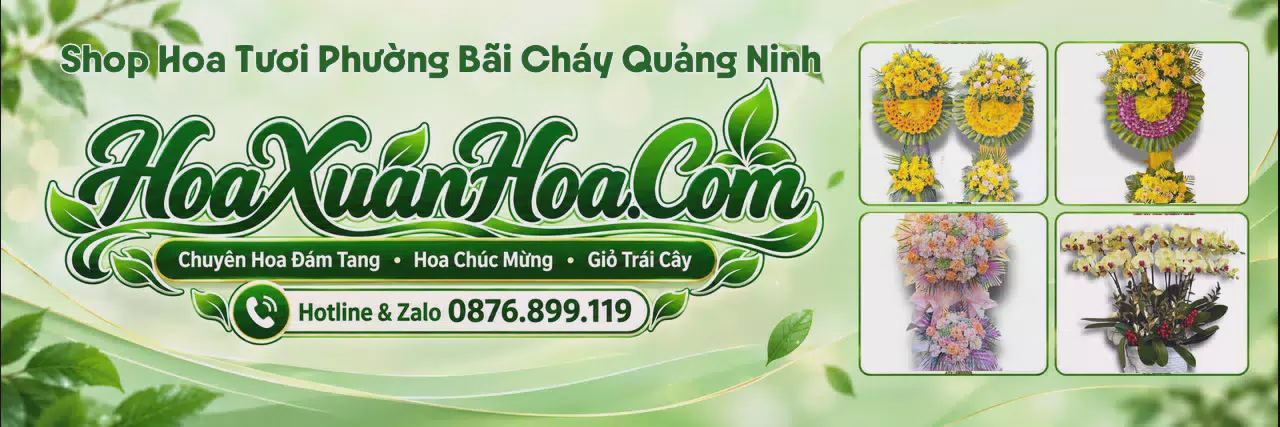Ảnh bìa Shop Hoa Tươi Tại Phường Bãi Cháy Quảng Ninh - Đặt Hoa Dễ Dàng Nhanh Chóng