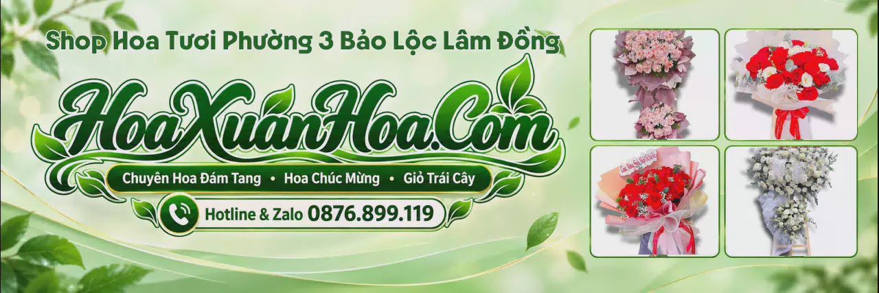 Ảnh bìa Đặt Hoa Tươi Tại Phường 3 Bảo Lộc Lâm Đồng - Nhận Đặt Hoa Online
