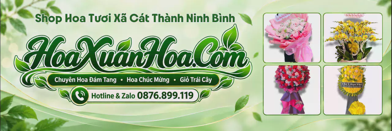 Ảnh bìa Shop Hoa Tươi Tại Xã Cát Thành Ninh Bình - Giao Hoa Nhanh Chóng