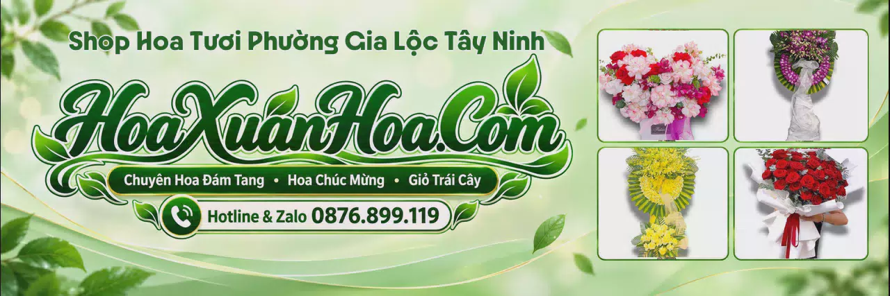Ảnh bìa Shop Hoa Tươi Tại Phường Gia Lộc Tây Ninh - Shop Hoa Tươi Đặt Trực Tuyến