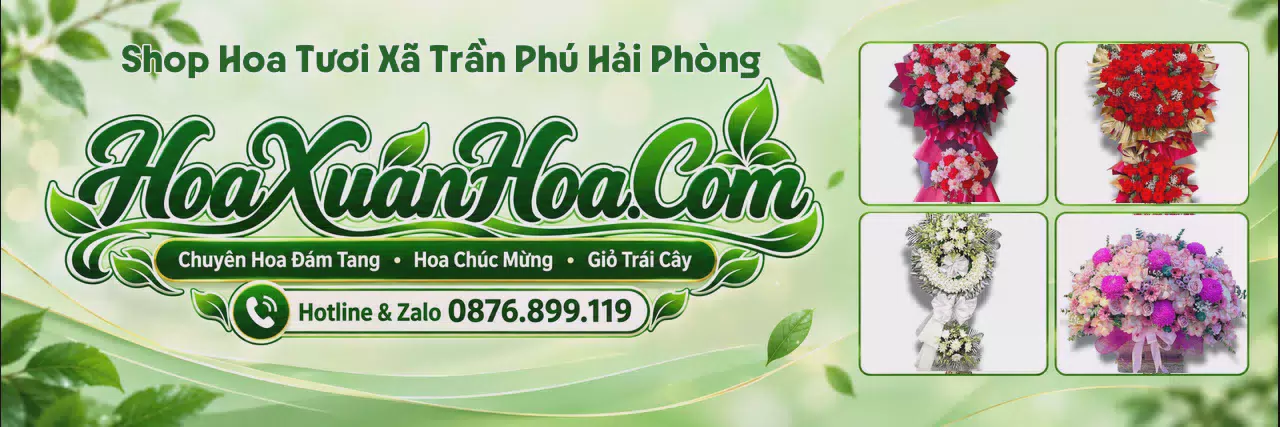 Ảnh bìa Shop Hoa Tươi Tại Xã Trần Phú Hải Phòng - Dịch Vụ Đặt Hoa Trực Tuyến