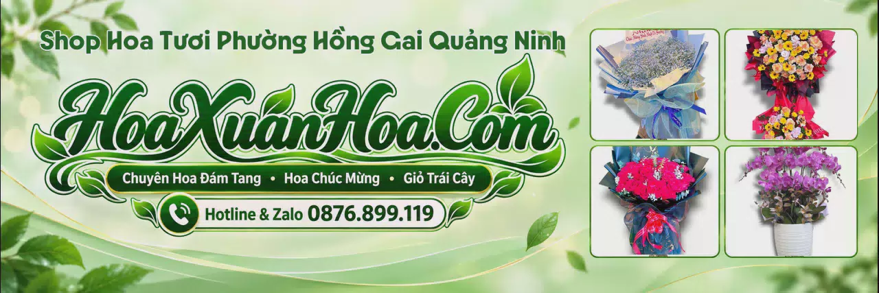 Ảnh bìa Shop Hoa Tươi Tại Phường Hồng Gai Quảng Ninh - Nhận Đặt Hoa Online