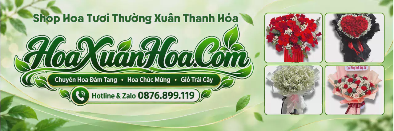 Ảnh bìa Tiệm Hoa Tươi Tại Thường Xuân Thanh Hóa - Dịch Vụ Đặt Hoa Trực Tuyến