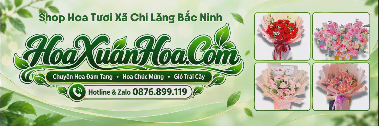 Ảnh bìa Đặt Hoa Tươi Tại Xã Chi Lăng Bắc Ninh - Shop Hoa Giao Nhanh Trong Ngày