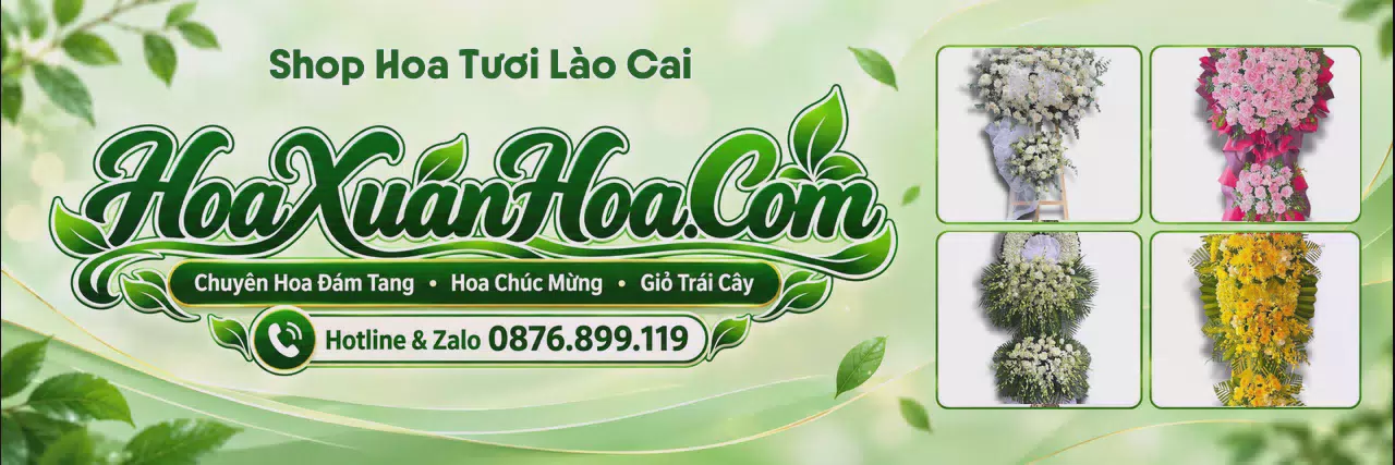 Ảnh bìa Đặt Hoa Tươi Tại Lào Cai - Đặt Hoa Online Tiện Lợi