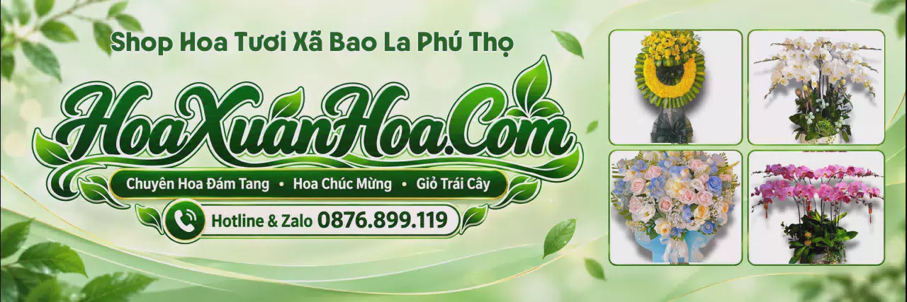 Ảnh bìa Shop Hoa Tươi Tại Xã Bao La Phú Thọ - Tiệm Hoa Giao Hoa Tận Nhà