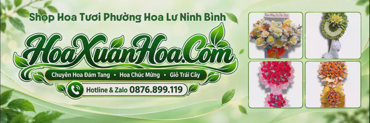 Ảnh bìa Shop Bán Hoa Tươi Tại Phường Hoa Lư Ninh Bình - Đặt Hoa Tươi Trực Tuyến