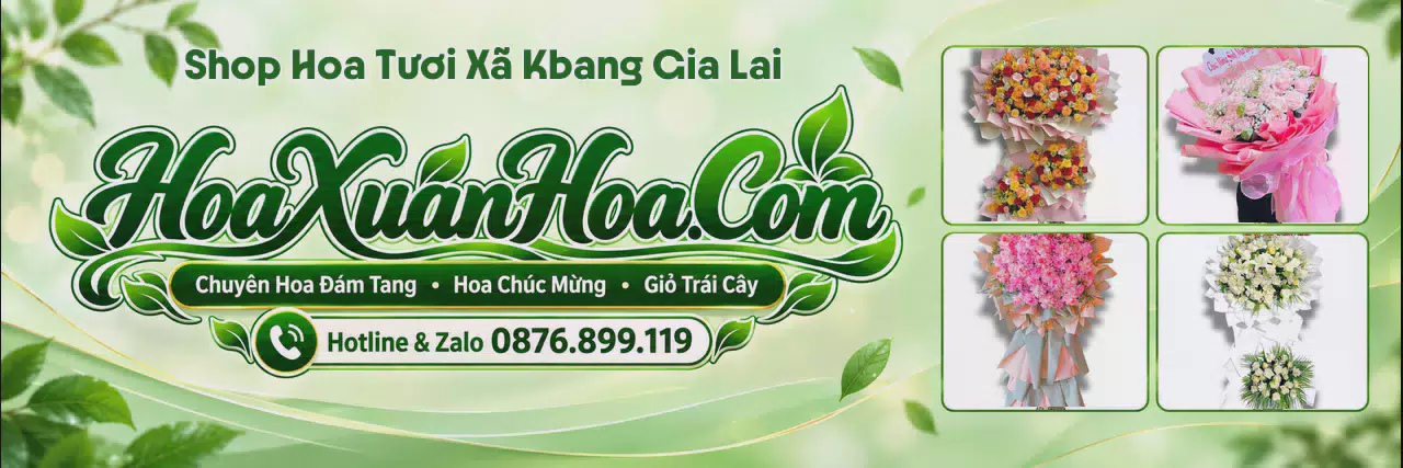 Ảnh bìa Shop Hoa Tươi Tại Xã Kbang Gia Lai - Đặt Hoa Dễ Dàng Nhanh Chóng