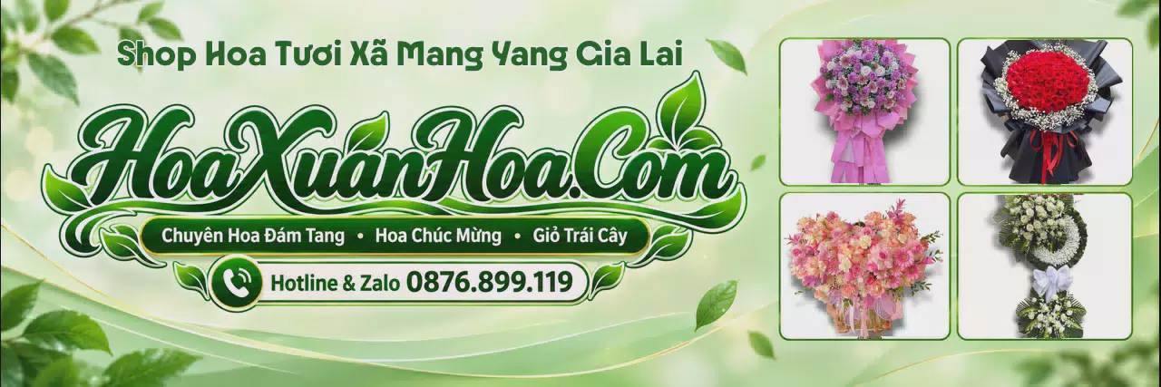 Ảnh bìa Shop Bán Hoa Tươi Tại Xã Mang Yang Gia Lai - Tiệm Hoa Tươi Giao Nhanh