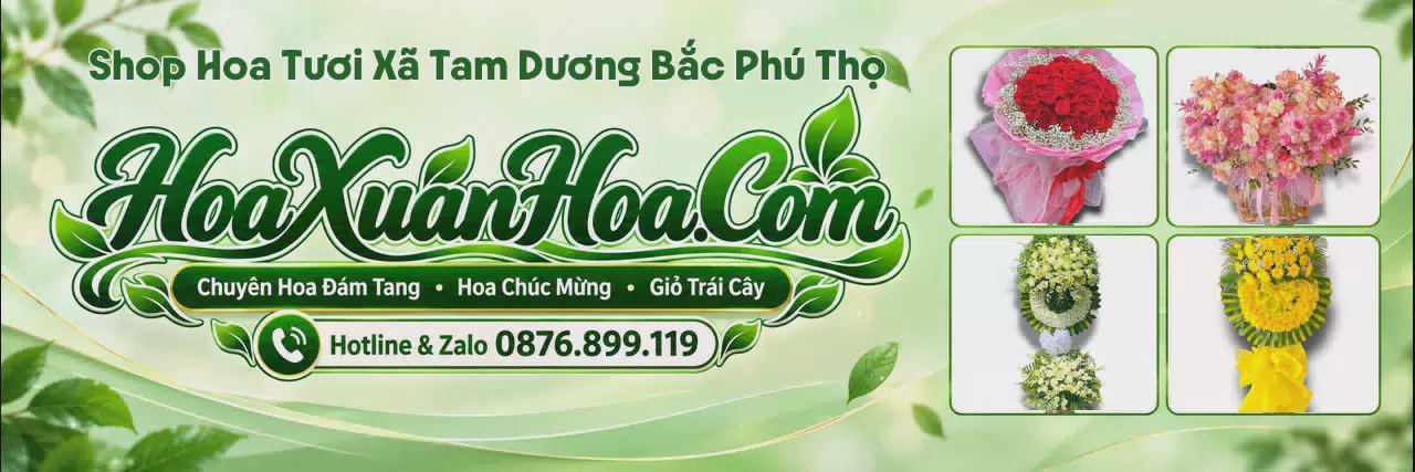 Ảnh bìa Shop Hoa Tươi Tại Xã Tam Dương Bắc Phú Thọ - Đặt Hoa Tươi Online