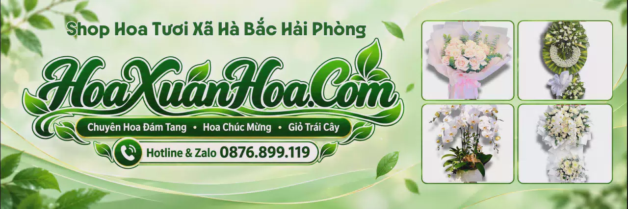 Ảnh bìa Shop Hoa Tươi Tại Xã Hà Bắc Hải Phòng - Tiệm Hoa Giao Nhanh