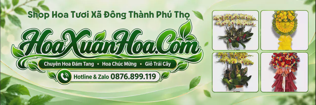 Ảnh bìa Shop Hoa Tươi Tại Xã Đông Thành Phú Thọ - Dịch Vụ Đặt Hoa Trực Tuyến